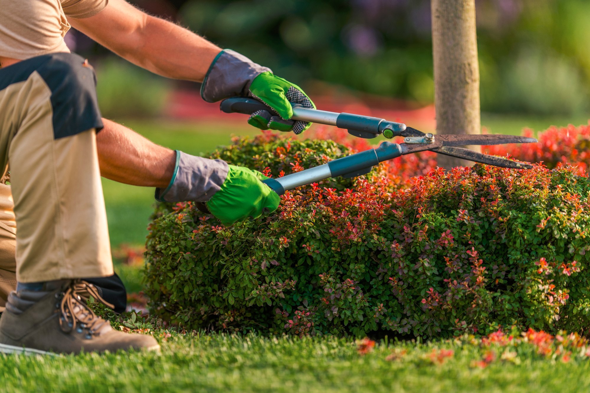 garden services centurion